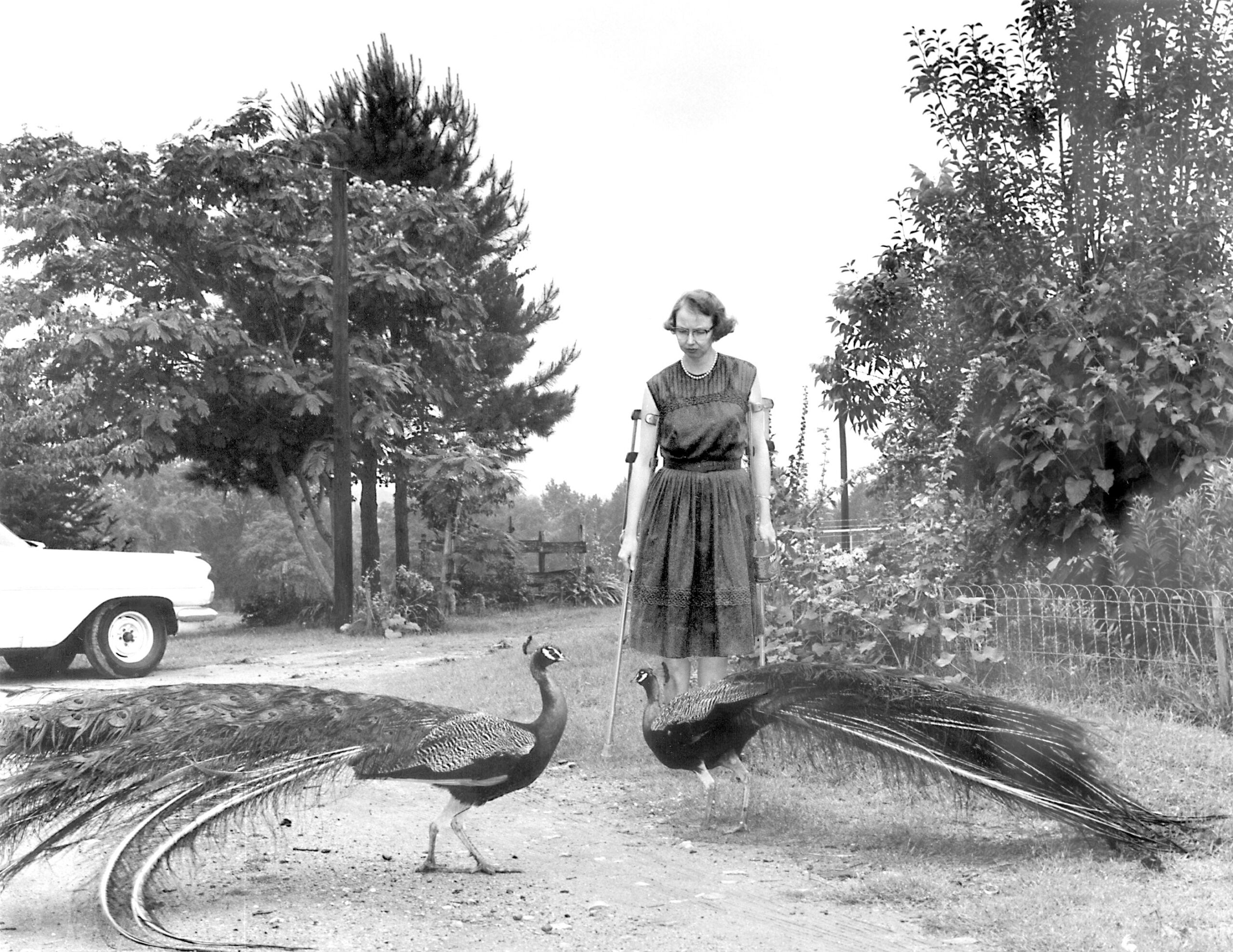 Flannery O'Connor and Her Birds