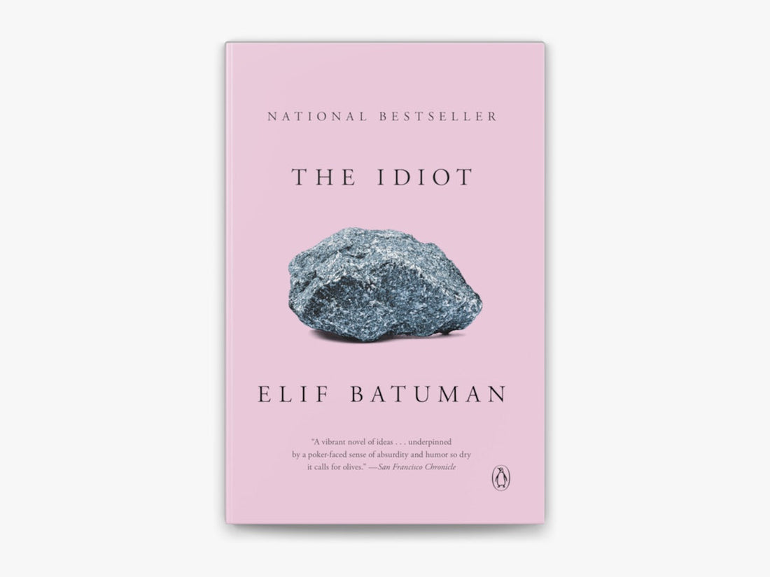 A very promising premise, interrupted: The Idiot by Elif Batuman