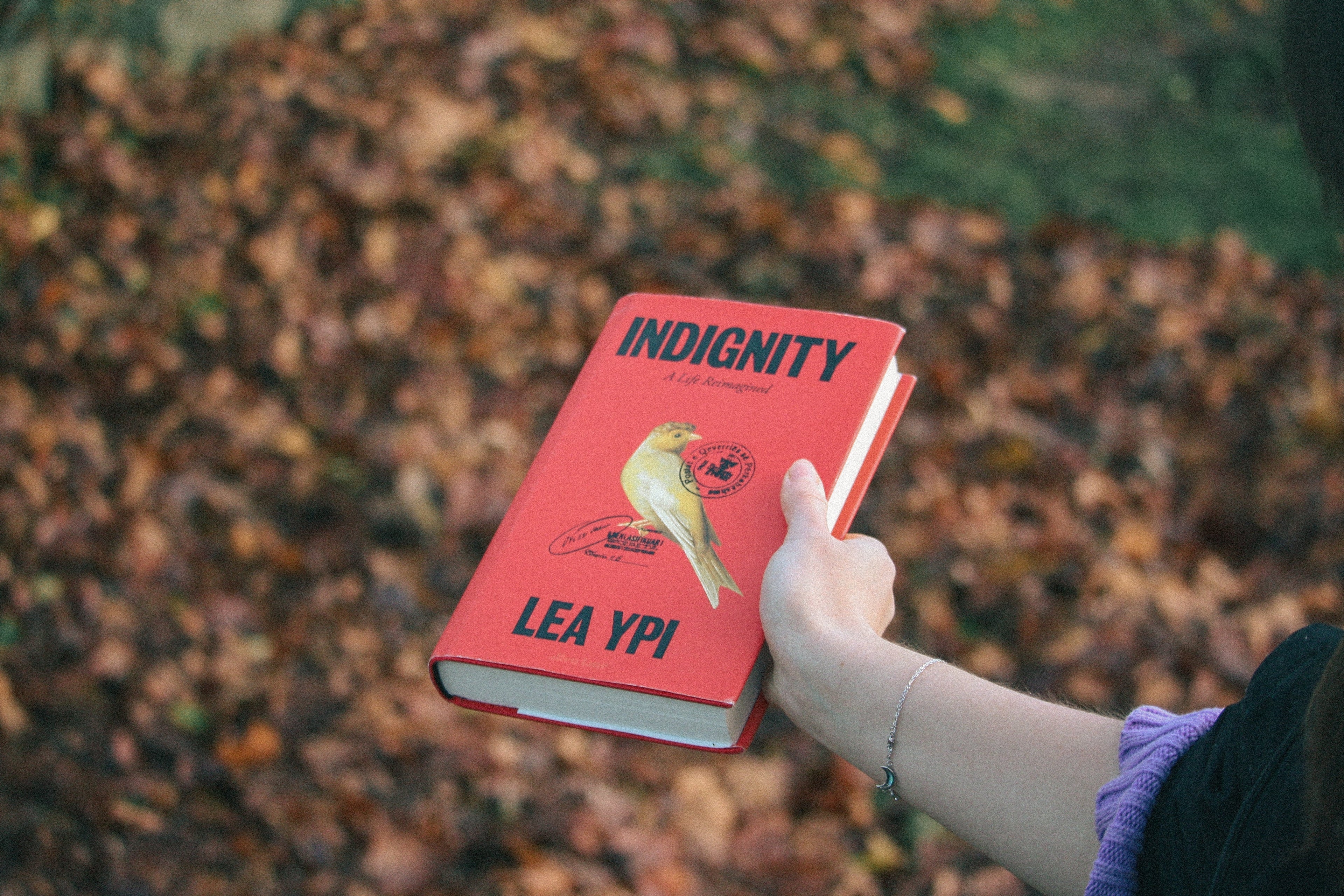 Can a file ever hold a person? On Lea Ypi’s Indignity