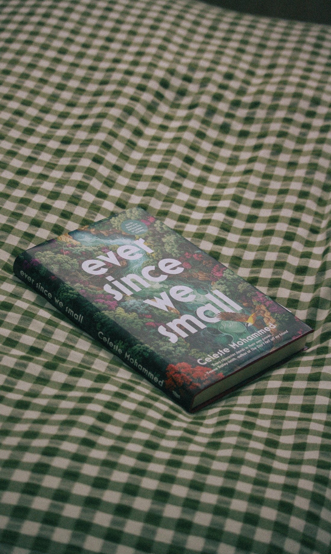 When the past does not stay in the past — Celeste Mohammed’s Ever Since We Small