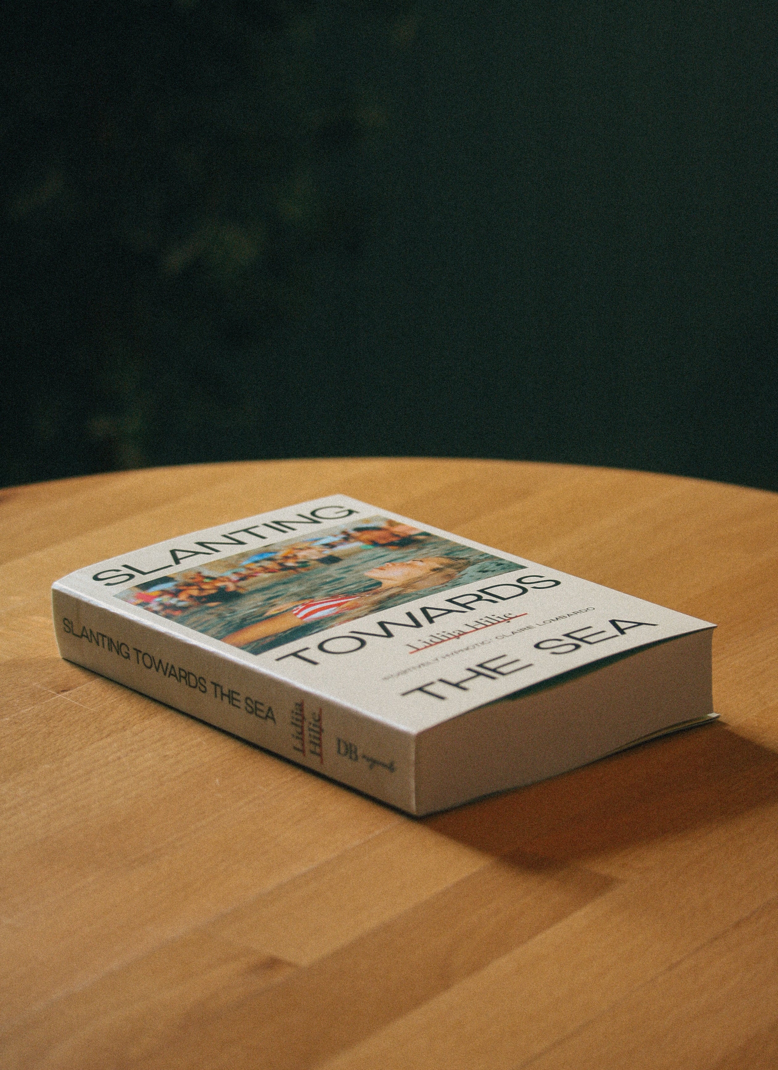 A Mess-merising Story: Slanting Towards the Sea by Lidija Hilje