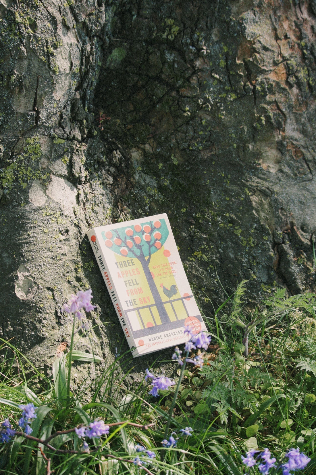 When Life Gives You Apples — A Review of Three Apples Fell From The Sky