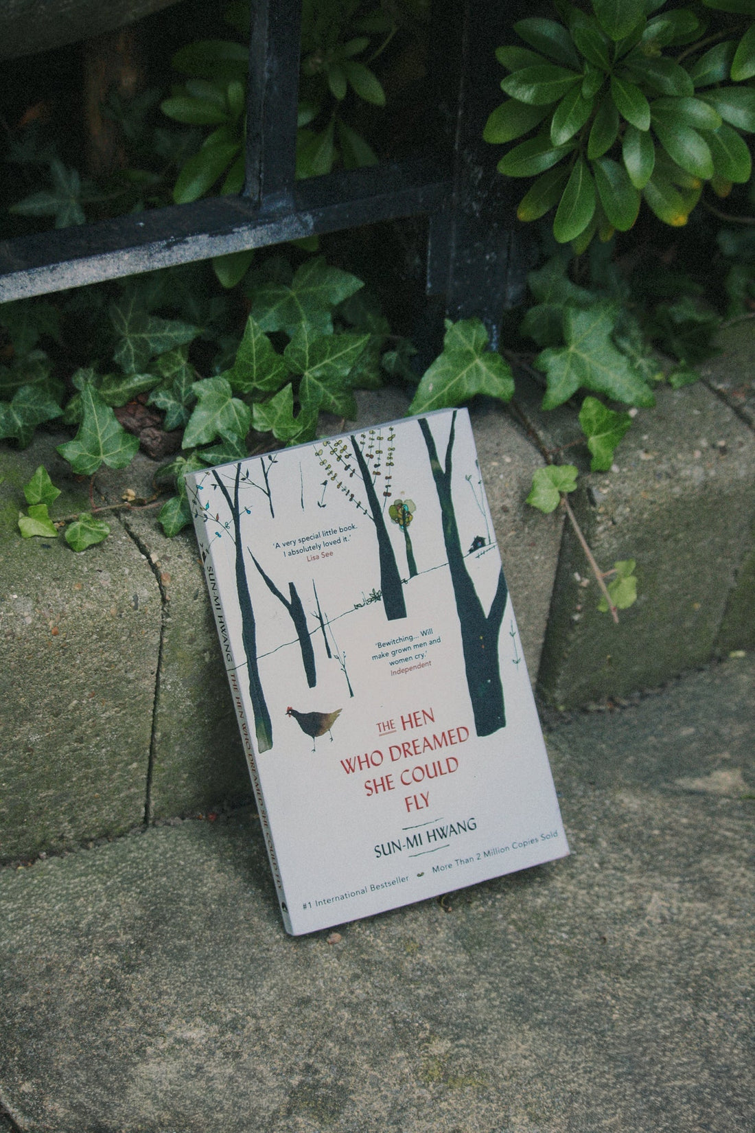 Hatching a Heroine — A Review of The Hen Who Dreamed She Could Fly