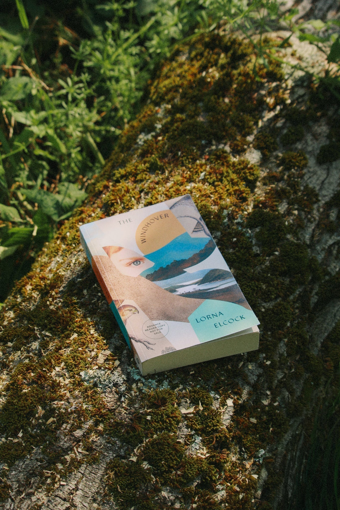 Family, Class, Trauma and the eternal question: Are there really second chances?