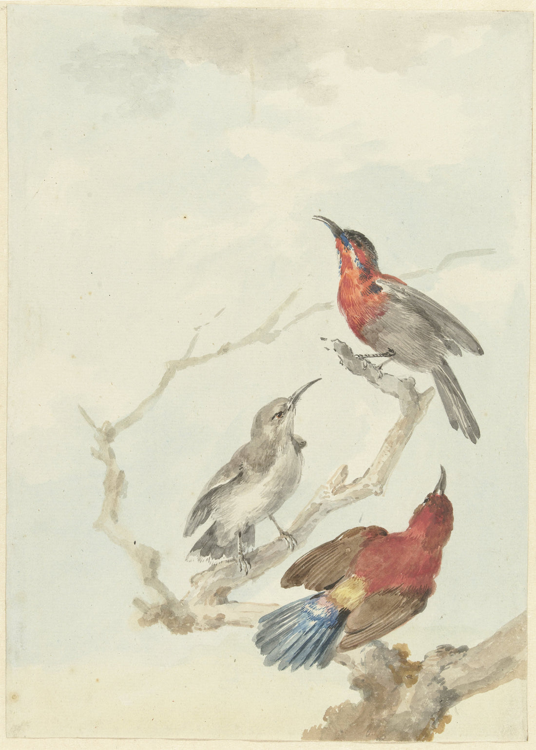 The Literary Life of Birds