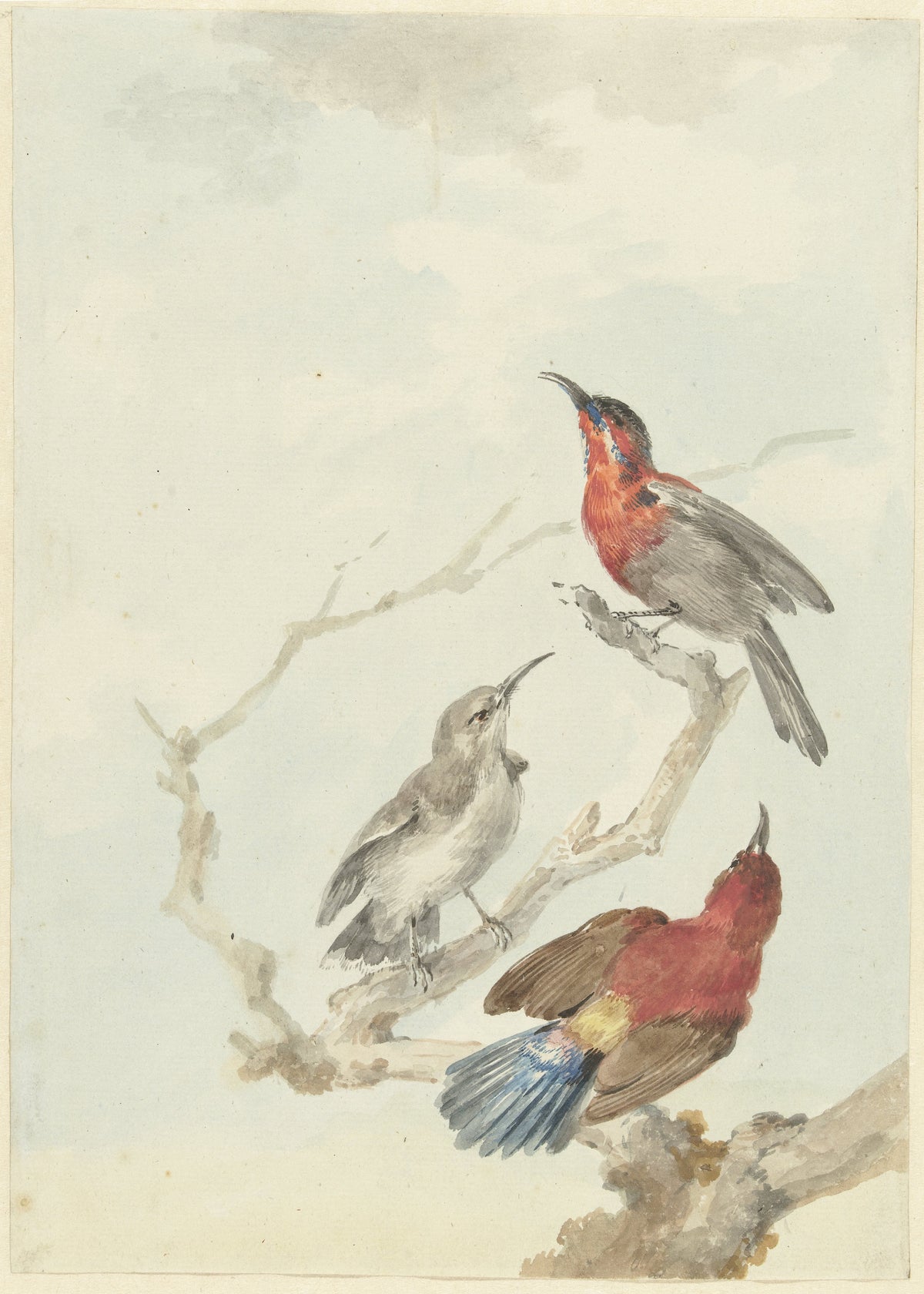 The Literary Life of Birds