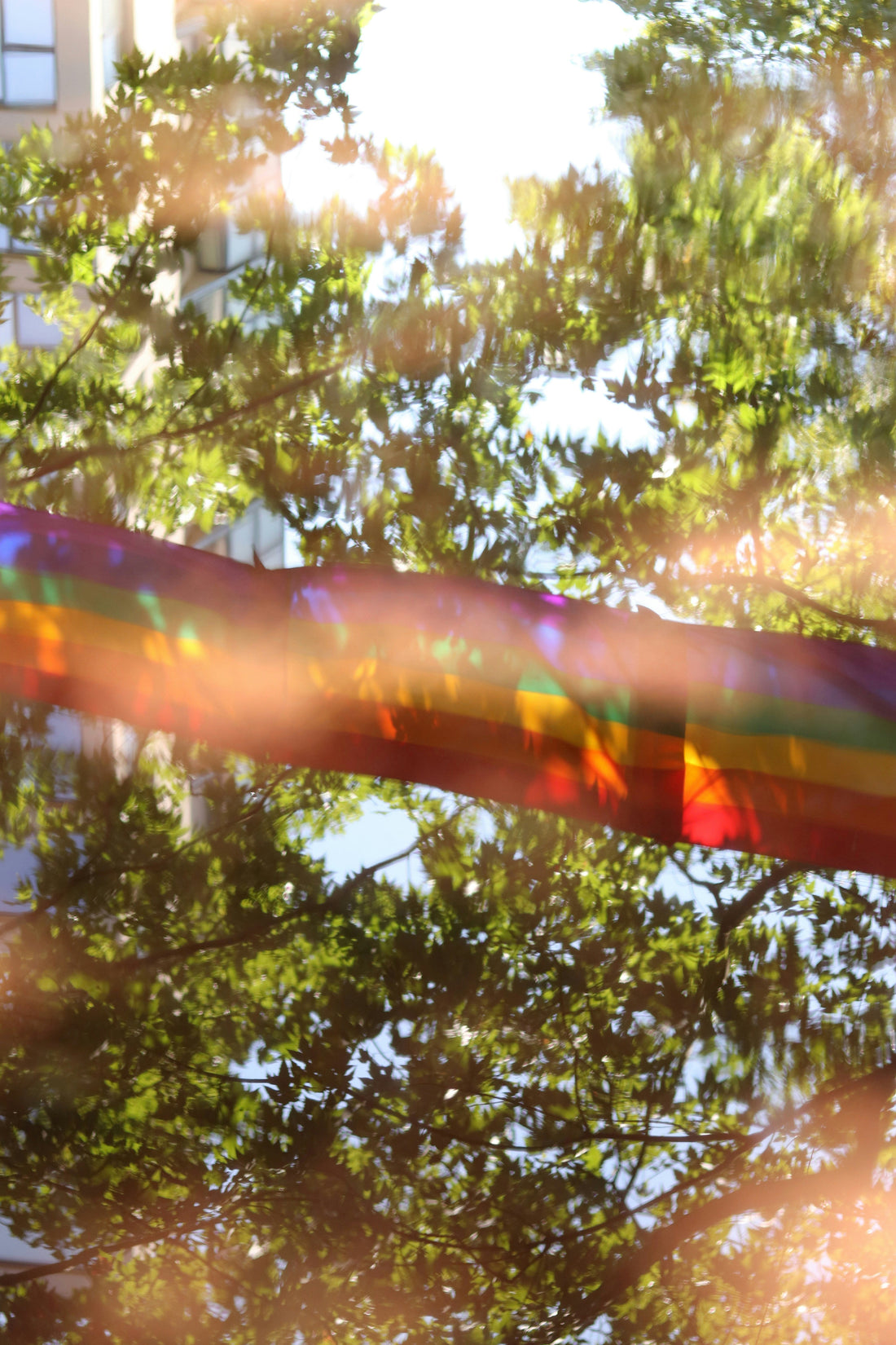 Performative pride and the long road to allyship