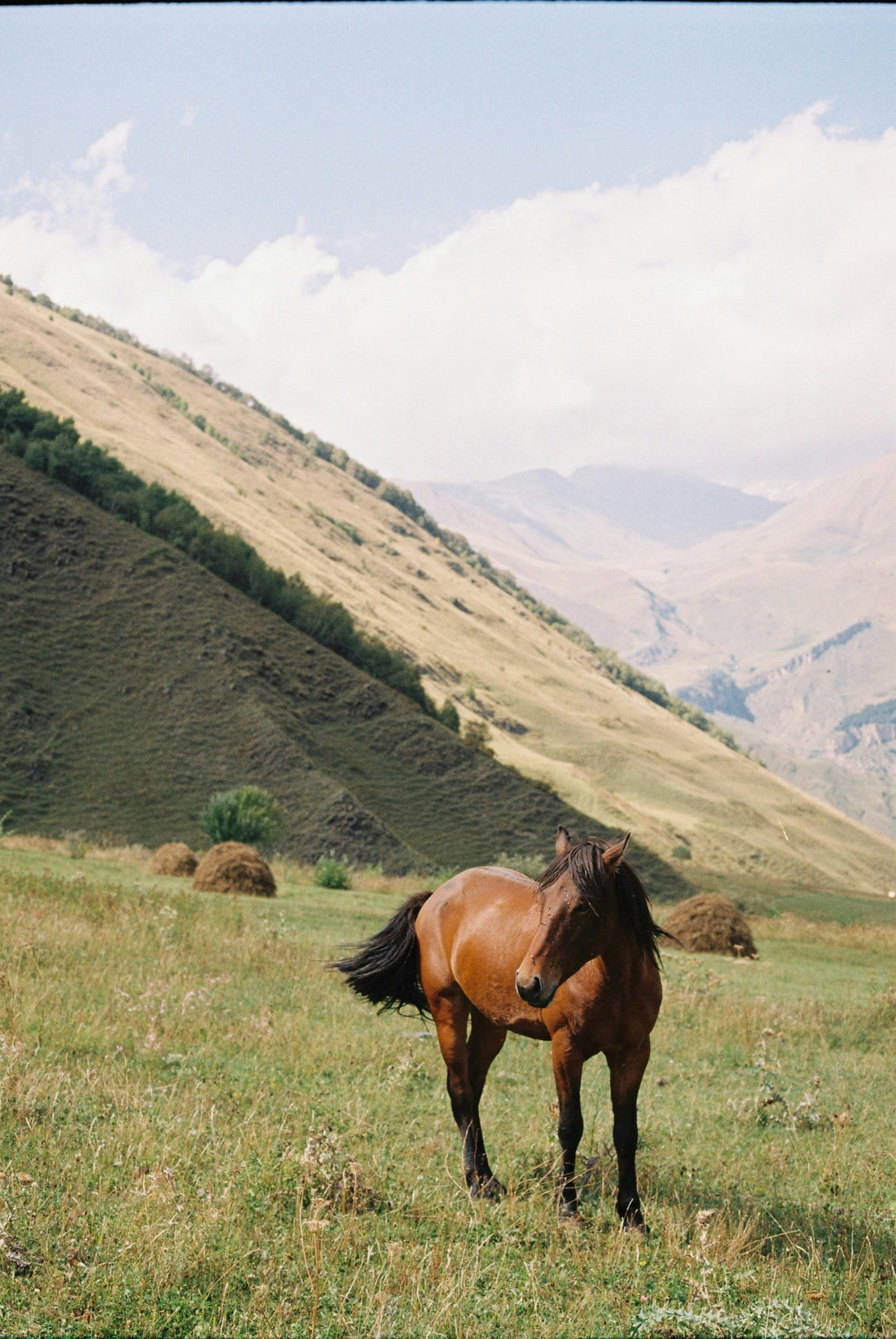 How did travelling to Kyrgyzstan become so trendy?