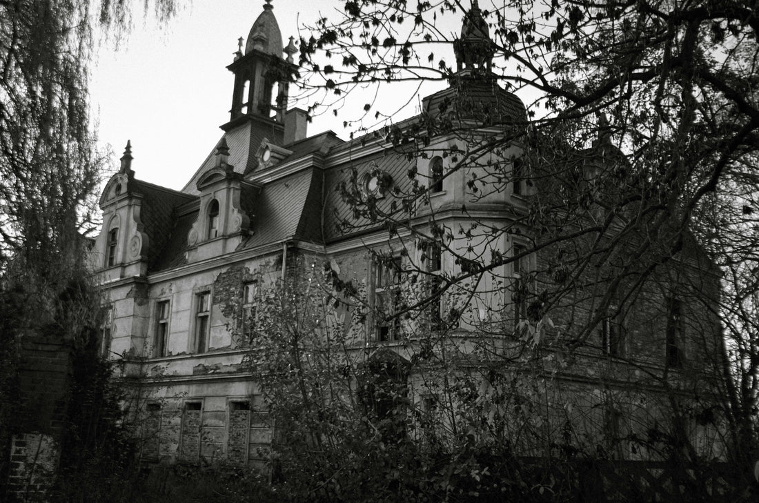 The vulnerability of human communities - Paula Sutton’s The Body in the Kitchen Garden