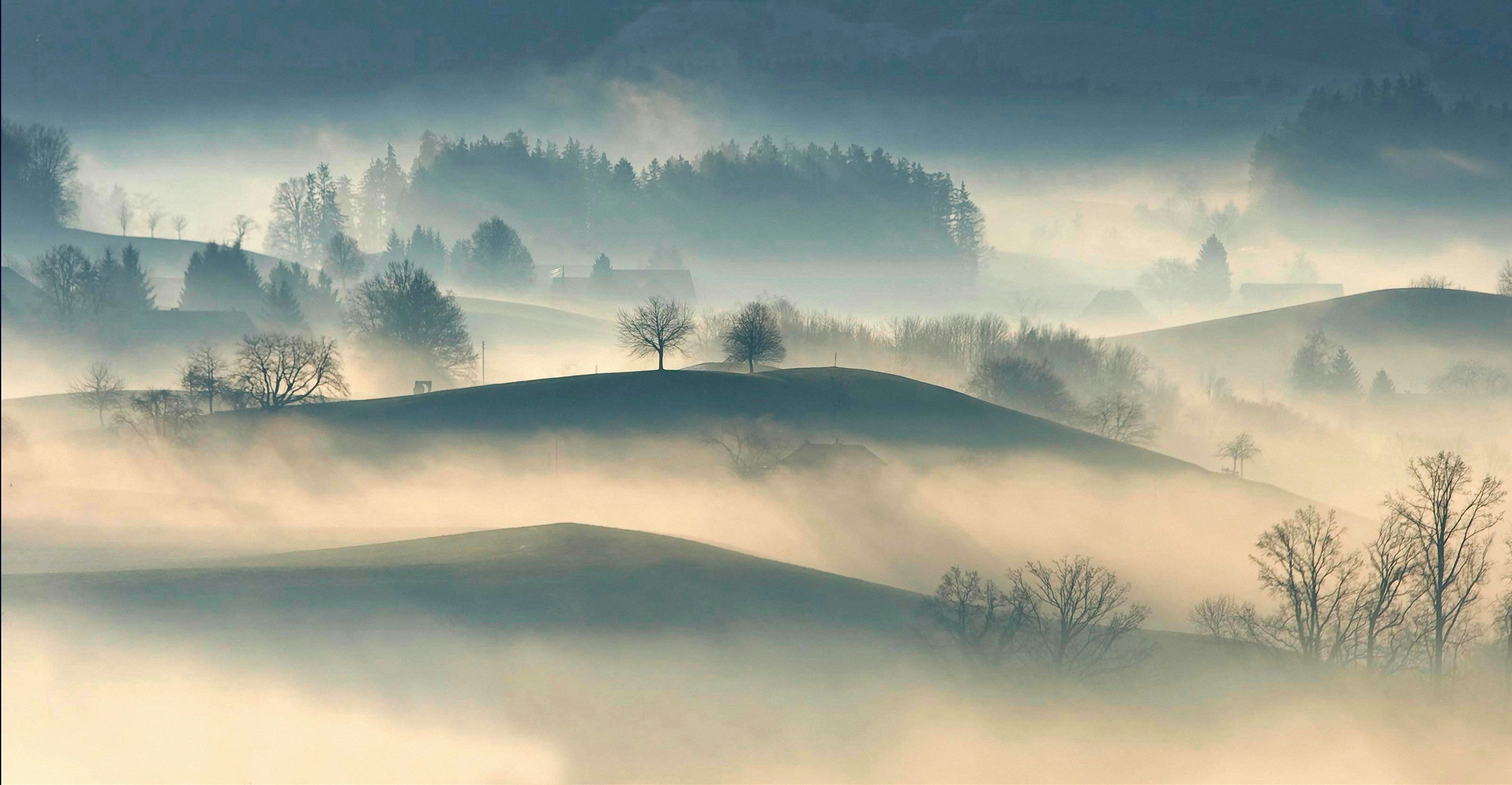 A Look at Nick Allen's 'Hill Fog'