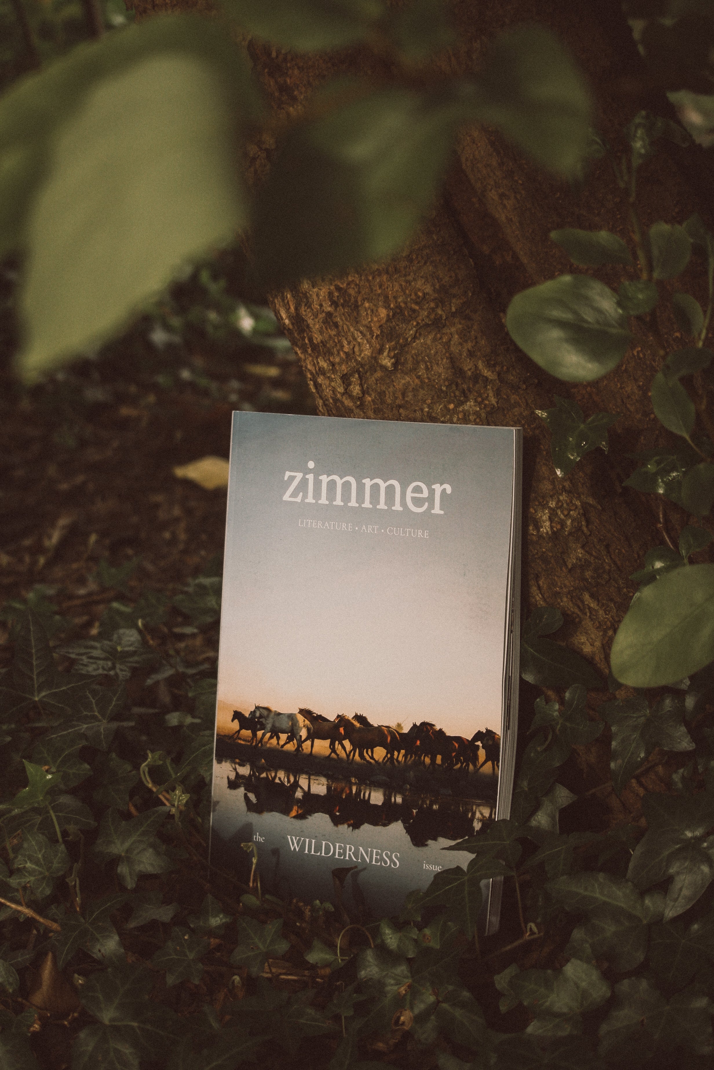 Book titled 'zimmer' on a tree branch with leaves around