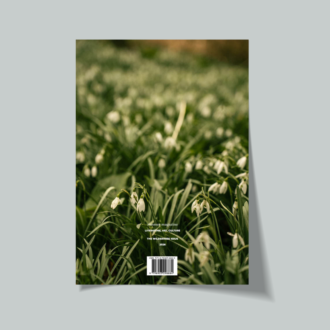 Book back cover with a field of white flowers and green grass on a grey background