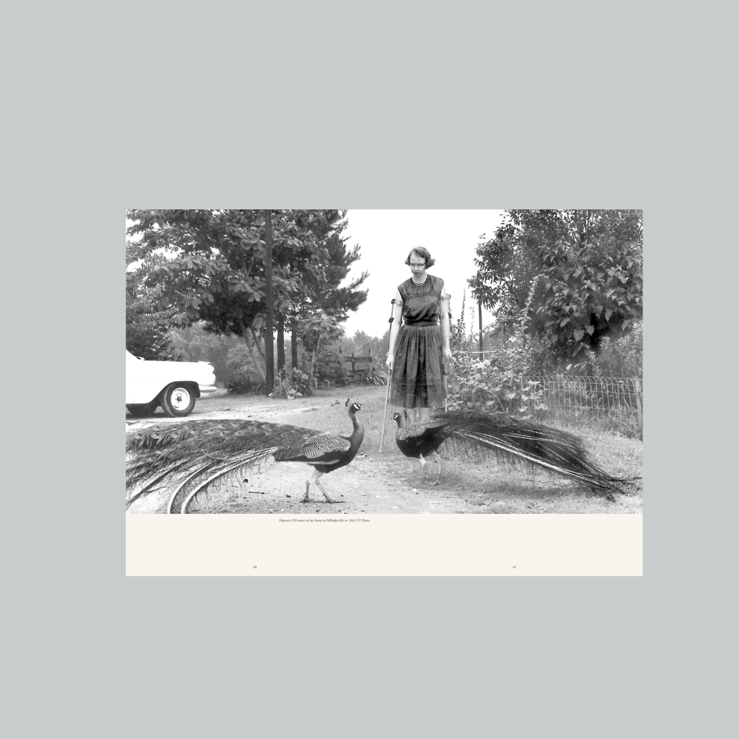Woman with two peacocks on a road with trees and a car in the background