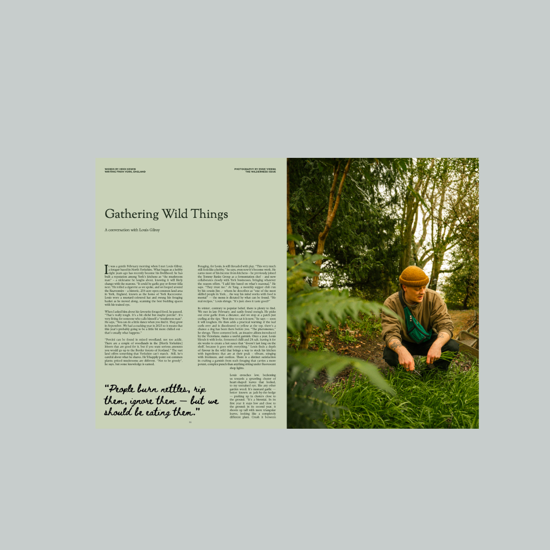 Magazine layout with text on the left and a photo of a person gathering wild things on the right. Louis Gilroy and foraging.