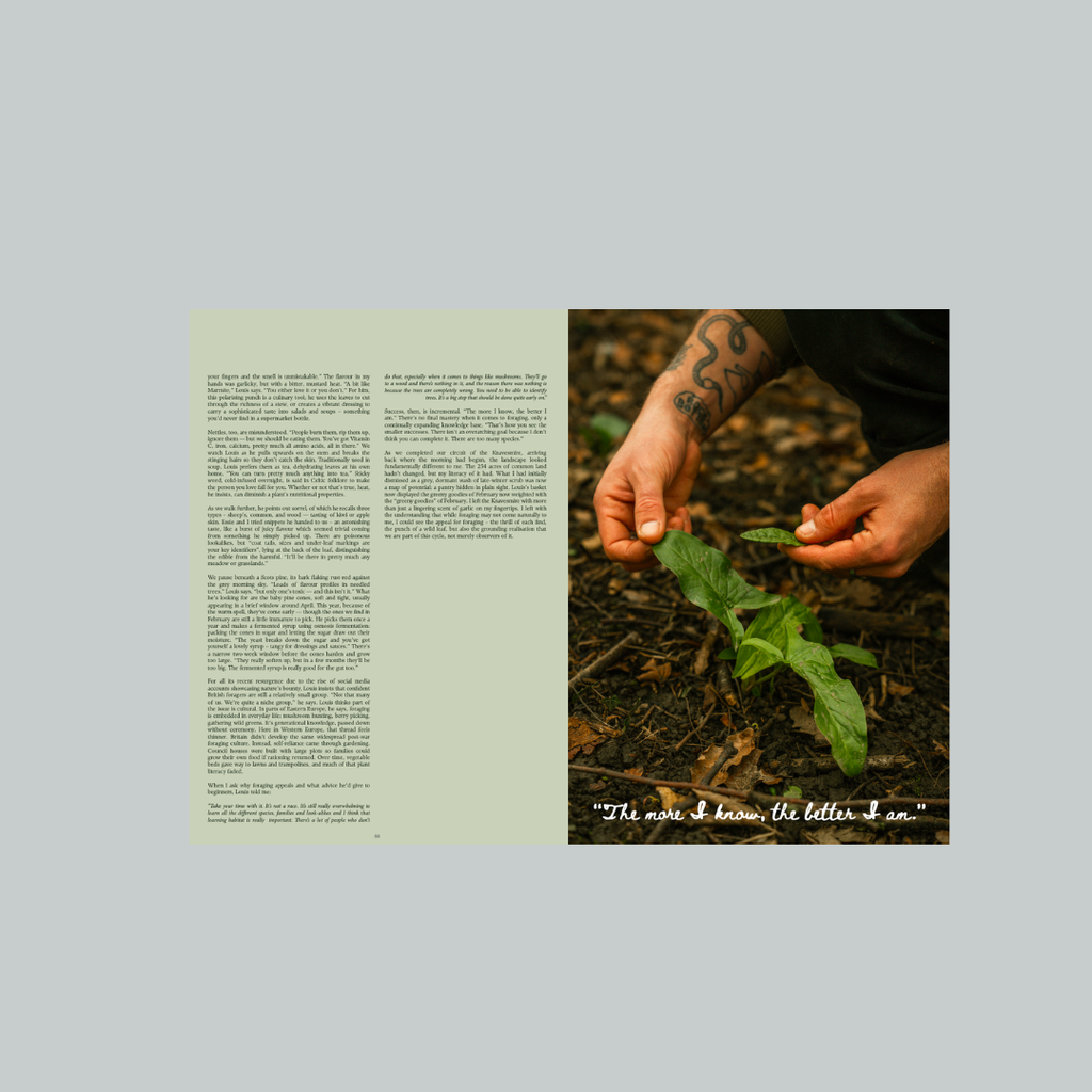 Person holding a plant with text on a light green background. Louis Gilroy and foraging interview