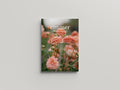 Release [Pre-Order]