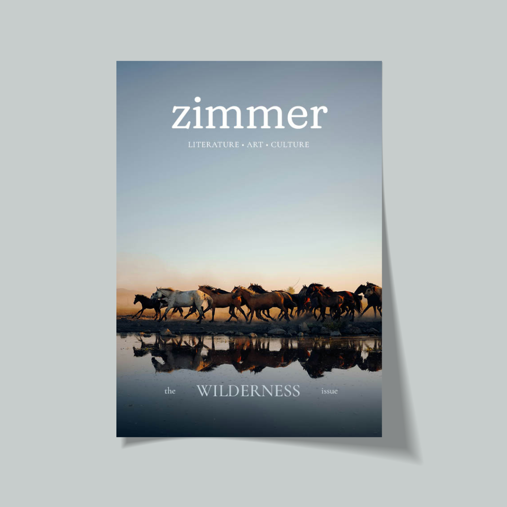 Book cover of 'The Wilderness' by Zimmer with horses and sunset reflection on water.